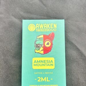 Amnesia Mountain